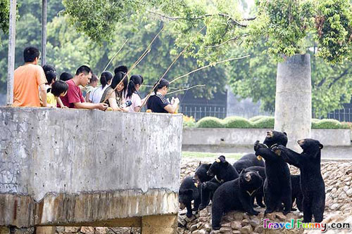 funny-china-02